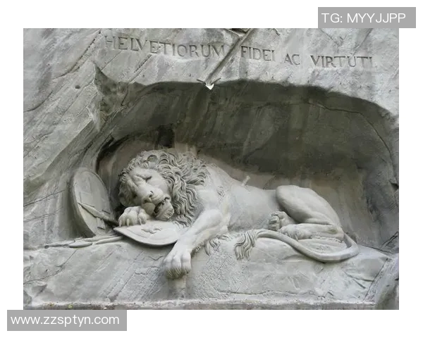 足球明星苏雅的职业生涯与成就全景介绍